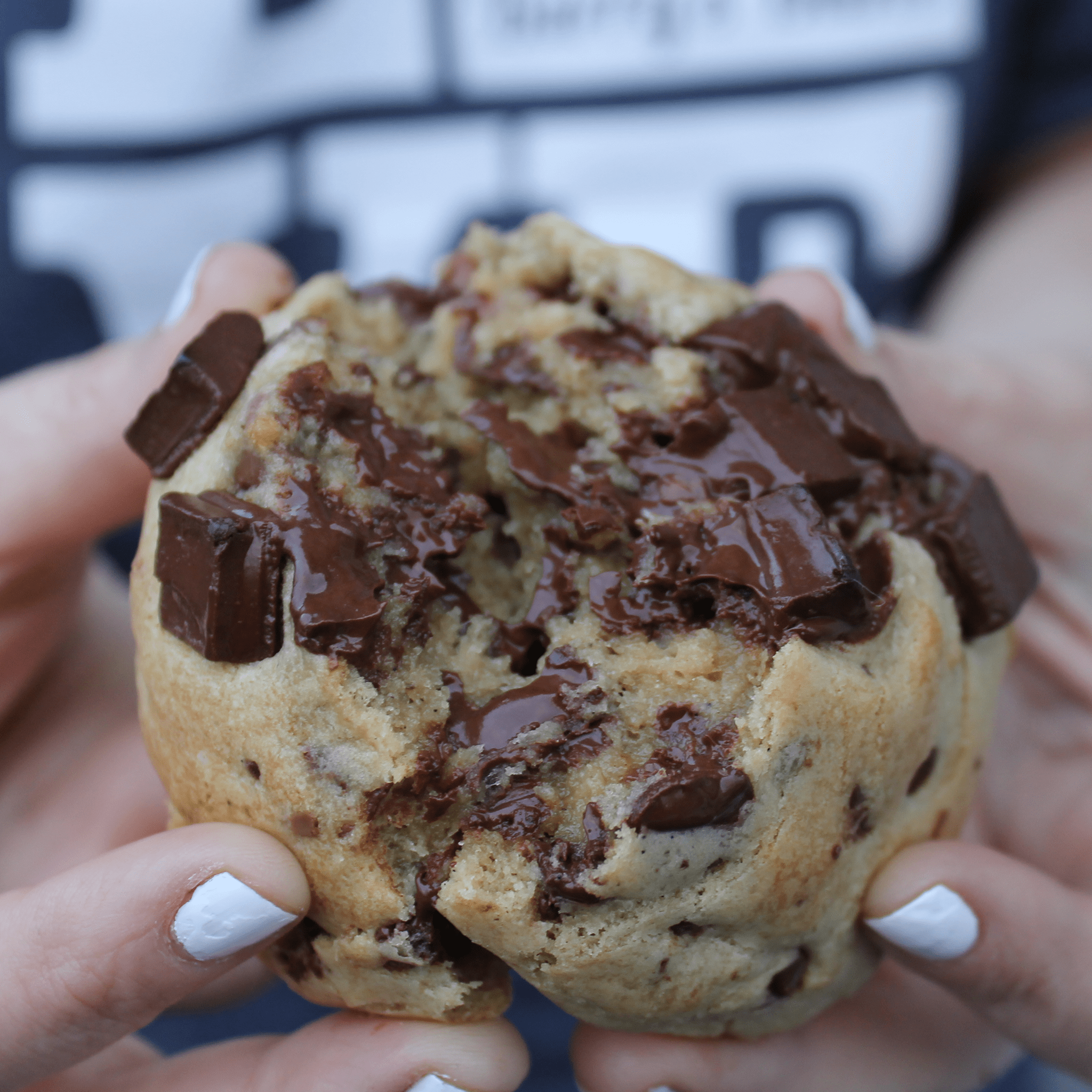 Sand Dune (Chocolate Chip Cookie)